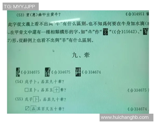 姚明如何通过拆字揭示汉字的魅力与文化内涵探索汉字的深层意义与表达方式