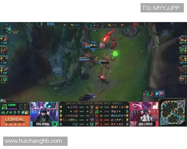 赛后复盘：深入分析JDG与RNG对决中的技术细节与战术运用